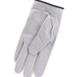 Golf Glove - Image 1